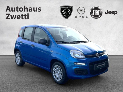 Fiat Panda Gebrauchtwagen