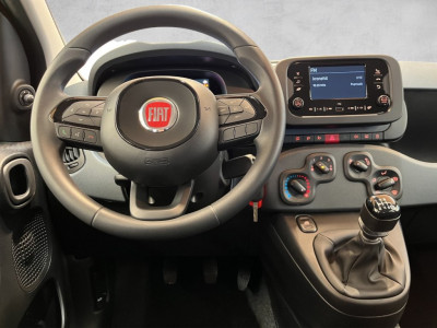 Fiat Panda Gebrauchtwagen Fiat Panda Gebrauchtwagen