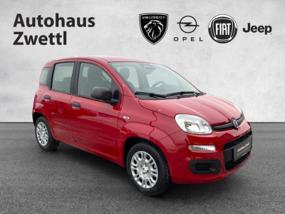 Fiat Panda Gebrauchtwagen Fiat Panda Gebrauchtwagen