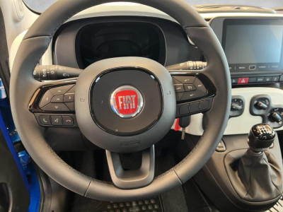 Fiat Panda Gebrauchtwagen Fiat Panda Gebrauchtwagen