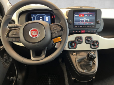 Fiat Panda Gebrauchtwagen Fiat Panda Gebrauchtwagen