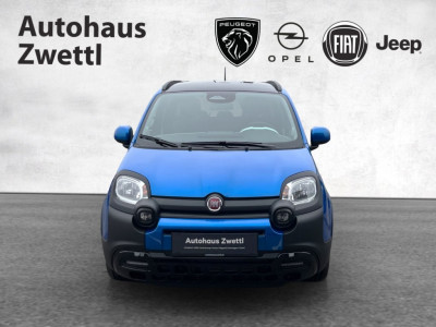 Fiat Panda Gebrauchtwagen Fiat Panda Gebrauchtwagen