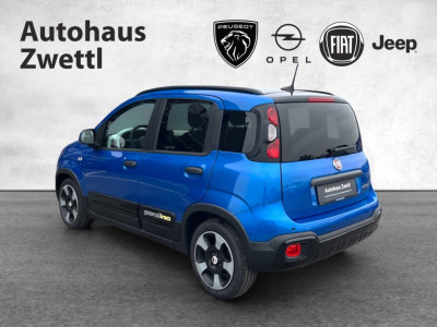 Fiat Panda Gebrauchtwagen Fiat Panda Gebrauchtwagen