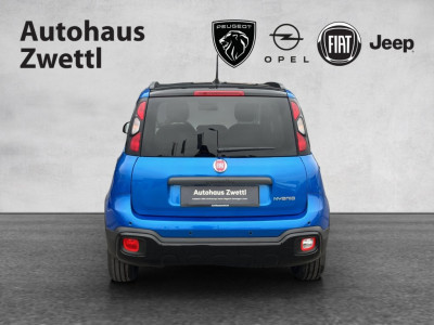 Fiat Panda Gebrauchtwagen Fiat Panda Gebrauchtwagen