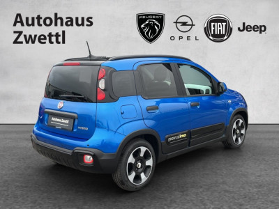 Fiat Panda Gebrauchtwagen Fiat Panda Gebrauchtwagen