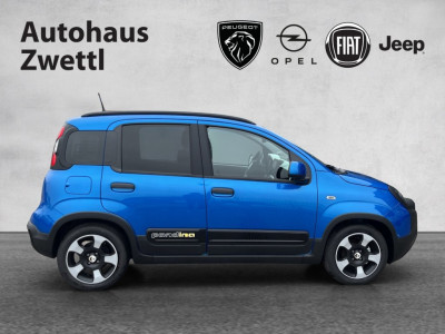 Fiat Panda Gebrauchtwagen Fiat Panda Gebrauchtwagen