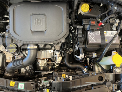 Fiat 500 Gebrauchtwagen