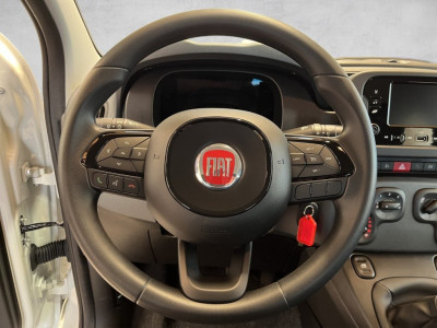 Fiat Panda Gebrauchtwagen Fiat Panda Gebrauchtwagen