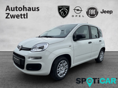 Fiat Panda Gebrauchtwagen
