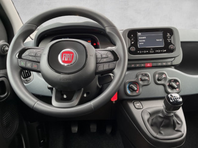 Fiat Panda Gebrauchtwagen Fiat Panda Gebrauchtwagen