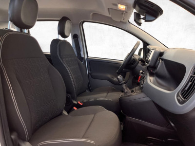 Fiat Panda Gebrauchtwagen Fiat Panda Gebrauchtwagen