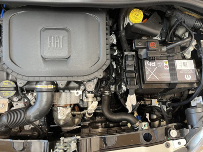 Fiat Panda Gebrauchtwagen Fiat Panda Gebrauchtwagen