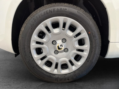 Fiat Panda Gebrauchtwagen Fiat Panda Gebrauchtwagen