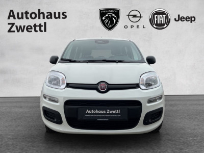 Fiat Panda Gebrauchtwagen Fiat Panda Gebrauchtwagen