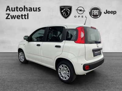 Fiat Panda Gebrauchtwagen Fiat Panda Gebrauchtwagen