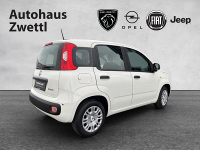 Fiat Panda Gebrauchtwagen Fiat Panda Gebrauchtwagen