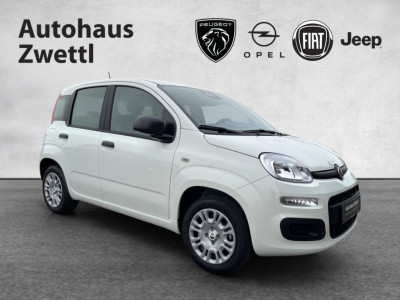 Fiat Panda Gebrauchtwagen Fiat Panda Gebrauchtwagen