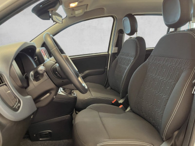 Fiat Panda Gebrauchtwagen Fiat Panda Gebrauchtwagen