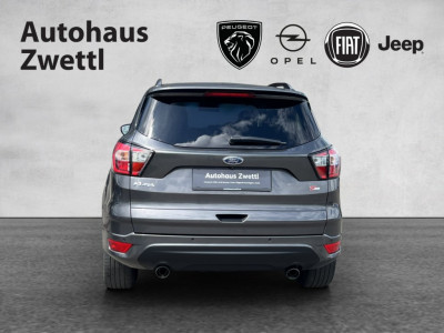 Ford Kuga Gebrauchtwagen Ford Kuga Gebrauchtwagen