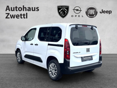 Fiat Doblo Gebrauchtwagen