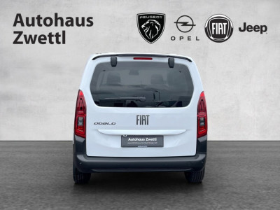 Fiat Doblo Gebrauchtwagen