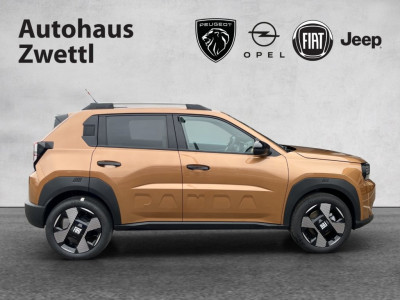 Fiat Grande Panda Gebrauchtwagen