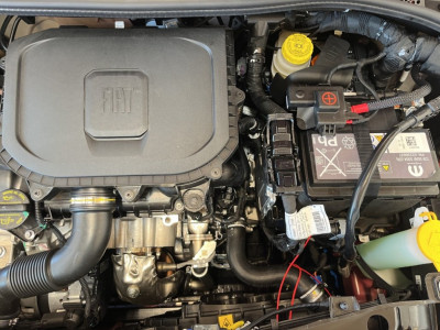 Fiat 500 Neuwagen