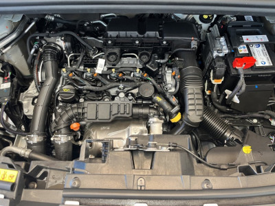 Fiat Doblo Neuwagen Fiat Doblo Neuwagen