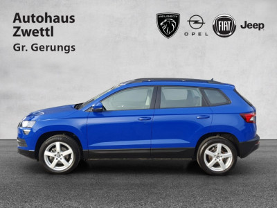 Skoda Karoq Gebrauchtwagen