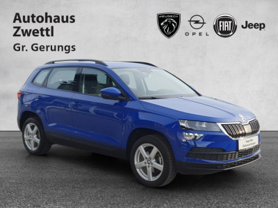 Skoda Karoq Gebrauchtwagen