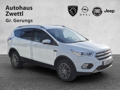 Ford Kuga Gebrauchtwagen