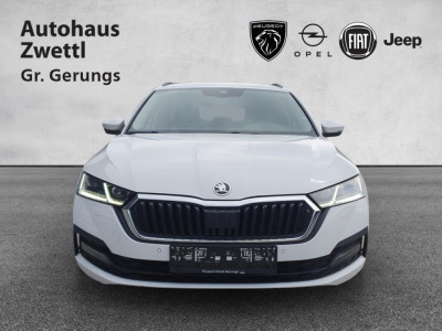 Skoda Octavia Gebrauchtwagen