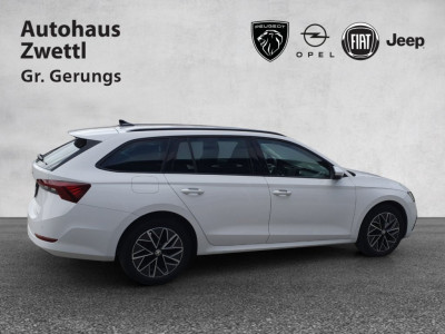 Skoda Octavia Gebrauchtwagen