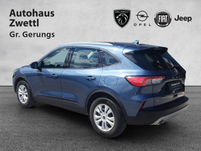 Ford Kuga Gebrauchtwagen Ford Kuga Gebrauchtwagen
