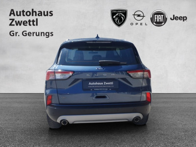 Ford Kuga Gebrauchtwagen Ford Kuga Gebrauchtwagen
