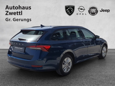 Skoda Octavia Gebrauchtwagen