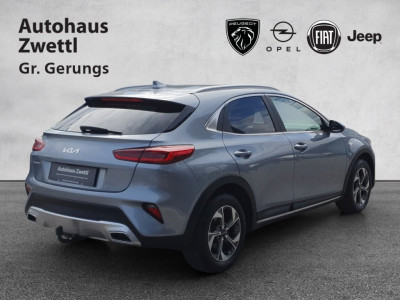 KIA XCeed Gebrauchtwagen KIA XCeed Gebrauchtwagen