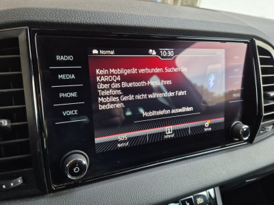 Skoda Karoq Gebrauchtwagen