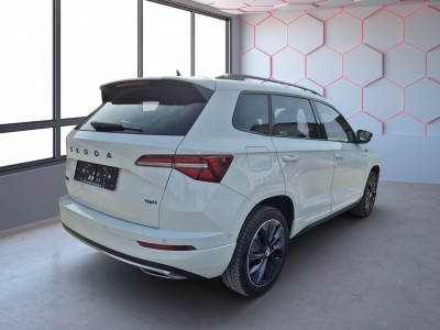 Skoda Karoq Gebrauchtwagen