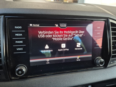 Skoda Karoq Gebrauchtwagen