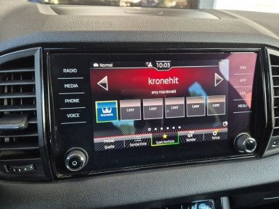 Skoda Karoq Gebrauchtwagen