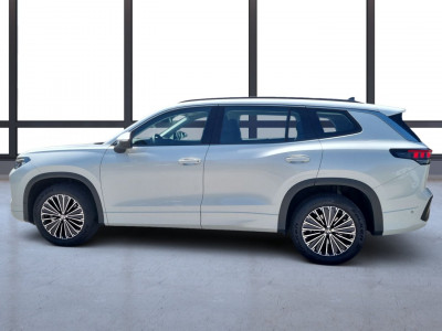 VW Tayron Gebrauchtwagen