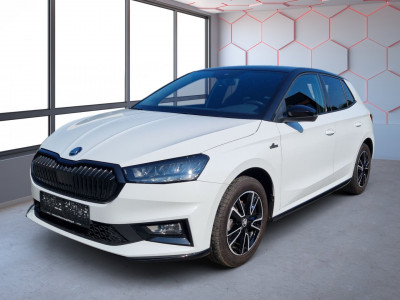 Skoda Fabia Gebrauchtwagen Skoda Fabia Gebrauchtwagen