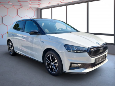 Skoda Fabia Gebrauchtwagen Skoda Fabia Gebrauchtwagen