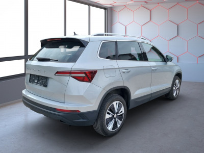 Skoda Karoq Gebrauchtwagen Skoda Karoq Gebrauchtwagen