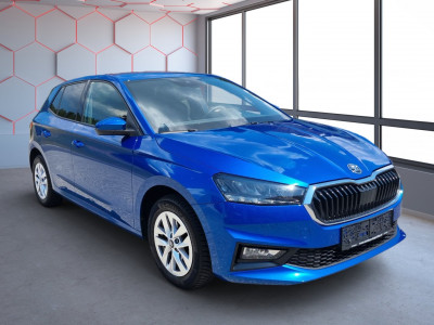 Skoda Fabia Gebrauchtwagen Skoda Fabia Gebrauchtwagen