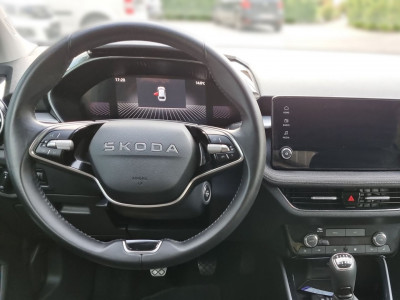 Skoda Fabia Gebrauchtwagen