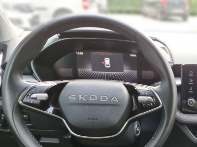 Skoda Fabia Gebrauchtwagen