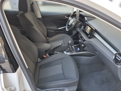 Skoda Fabia Gebrauchtwagen Skoda Fabia Gebrauchtwagen