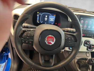 Fiat Panda Gebrauchtwagen